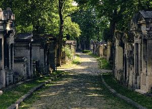 拉雪兹山公墓(Père Lachaise):探秘19种与历史为伴的野生动物 缩略图